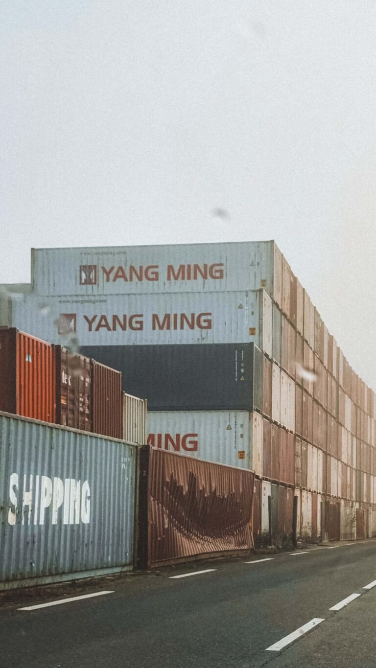 what does a logistics company do